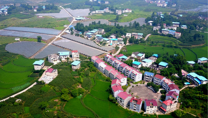 宝山村的三次“探宝”