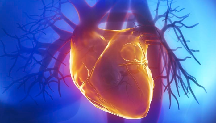 思想武器,科学新知