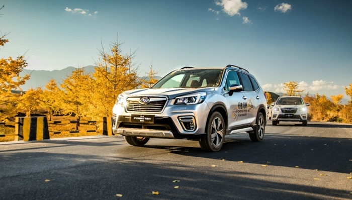 新车测评,车圈观察