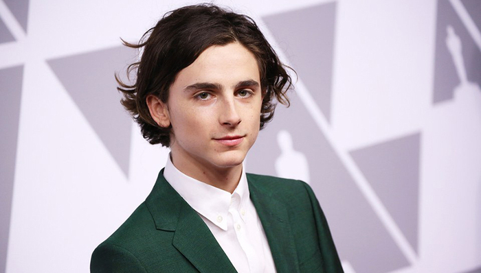 影讯 | 甜茶加盟韦斯·安德森《法兰西特派》 瑞恩·雷诺兹将参与制作恐怖片