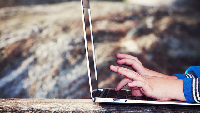 在线教育,办学,资质,学费,教育行政部门,教育机构,支付宝,理财产品,乱象,教育过程