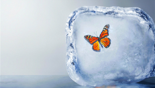 领导力,本土企业,贝恩,领英,跨国企业,人力资源,人才