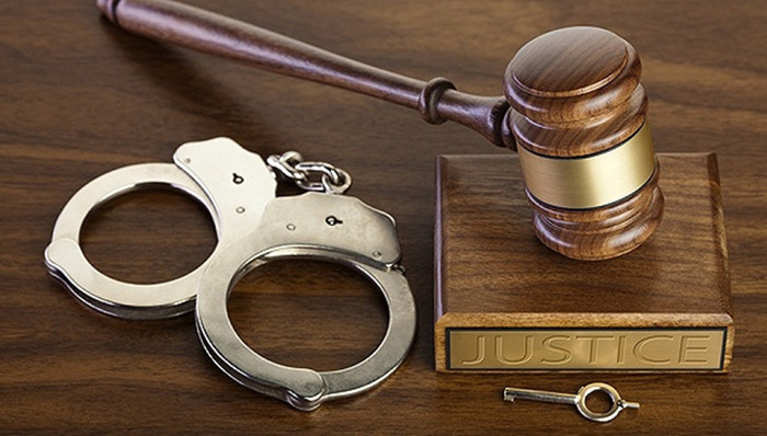 周骥阳,公诉人,抓获,图源,诈骗犯罪,庭审