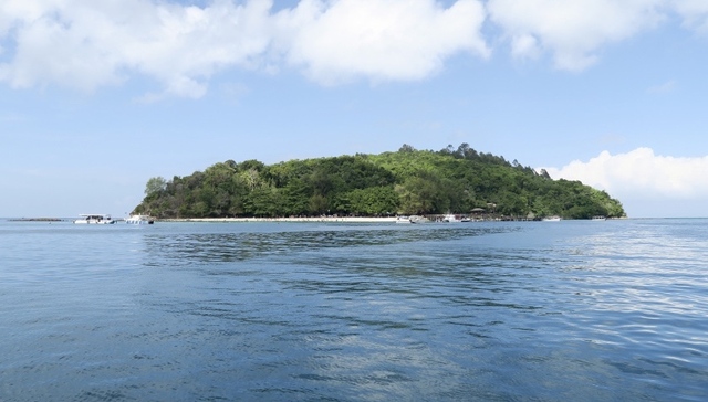 深圳拟对海域使用权市场化管理，专家：环保应成为首要考核