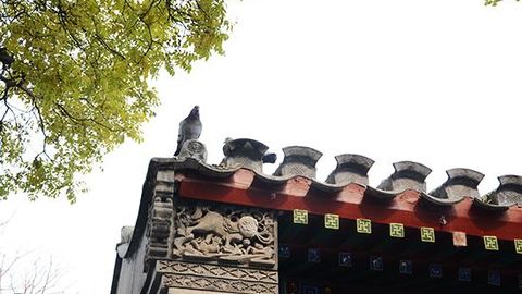 北京“一号改革”揭开城市精细化治理新篇章（下）