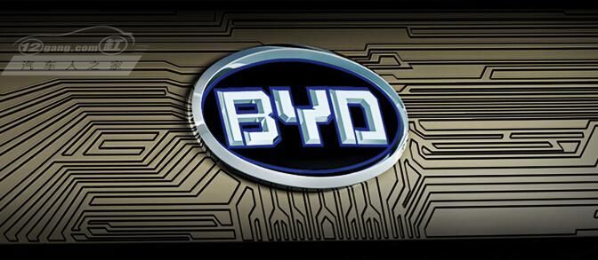 Metroline,比亚迪股份有限公司,改革开放政策,新能源世界,三级跳,大哥大,,人民日报,,新能