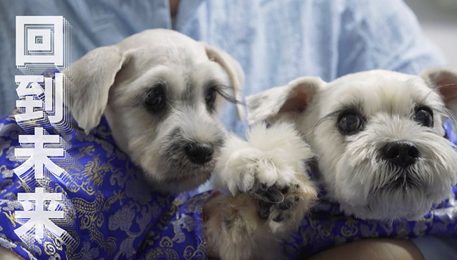 宠物克隆,克隆狗,科技,基因编辑,回到未来