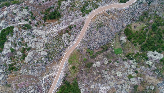 国家林草局：5年间石漠化土地净减少193.2万公顷