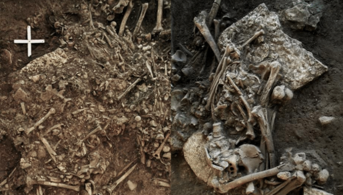 科学新知,世界史,疾病书写