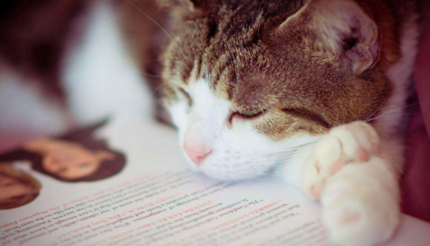 【一周新书推荐】孩子的出生将女人和男人区分开来，也将女人和女人区分开来