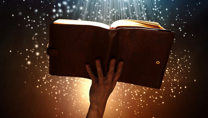 故事,规模种植,正定县,一本证书的故事,鼓励农民,主人公,探索创新,总书记,勤劳致富,化石