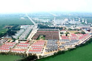 刘庄村,思想建党,制度建党,强村,村经济,村集体,民主生活会制度,四不准,免职,集体经济