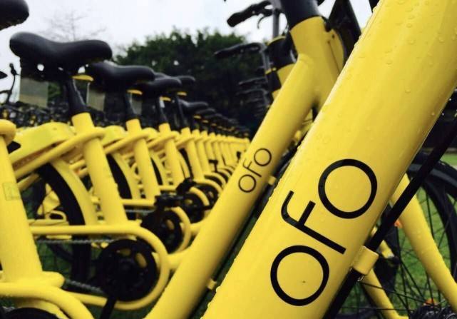 ofo