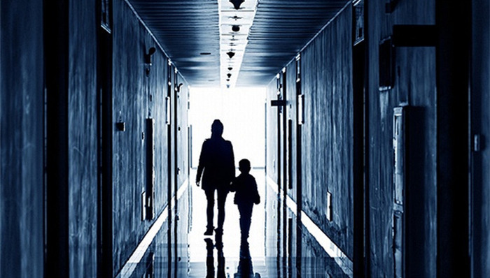 校园,小云,法治在线,昆明市卫生学校,女生,二审,赔偿责任,伤残,王某,致人