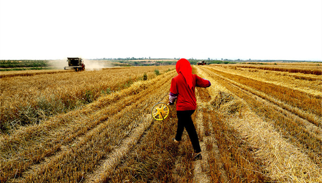 土地承包法,三权分置,全国人大常委会