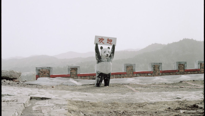 摄影,摄影师,专访,当代艺术,展览推荐