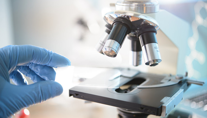 自然,物理学家,曹原