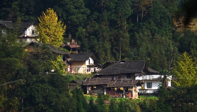 【深度】广西恭城：30年山地污染之殇