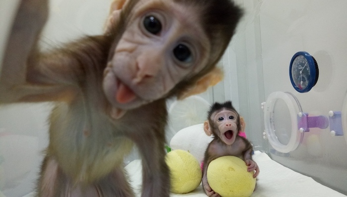 天下故事,科学研究