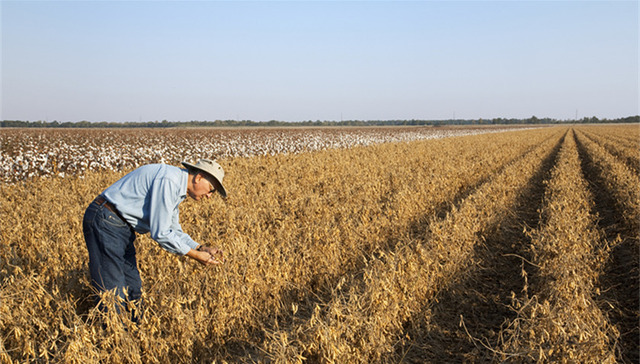 成效未达预期，农村“三块地”改革试点或再次延长