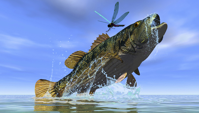 清华大学,阿里巴巴,BCG,旧物种,快消品,大数据,大企业,数字化,敏捷