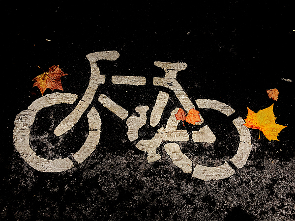 摩拜,单车,ofo,支付宝,C-E,真实故事,基金管理人,民谣歌手,美团,兜底