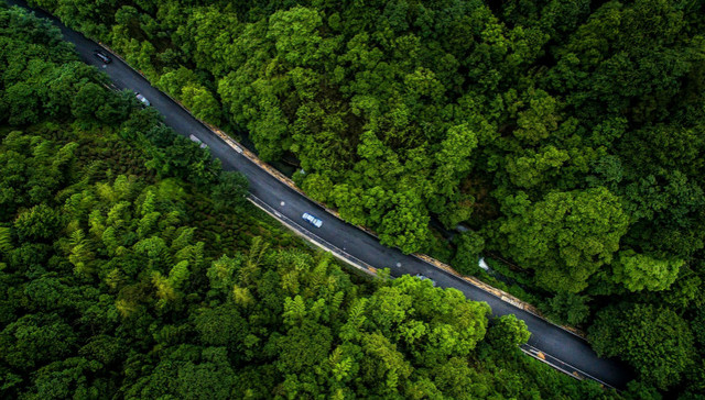 三北工程40年综合评价：当前生态状况不容乐观，治理难度大