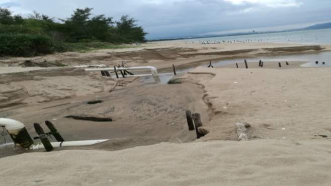 4图片1.png?x-oss-process=style/w10