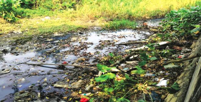 2图片1.png?x-oss-process=style/w10