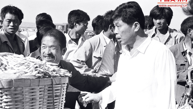 王伯祥,1986年,1983年,群众,接力跑,全国文明城市,蔬菜产业化,图片,韩师傅,晒盐