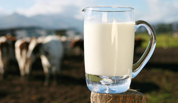 有机乳制品,圣牧