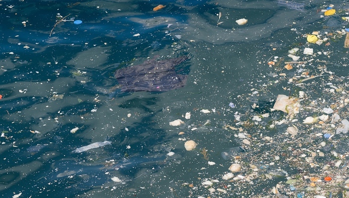 海洋环境,渤海,严重污染