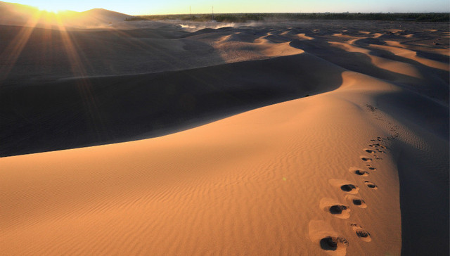 何茂春：中国绝对不会走回头路|四十年再出发·开放①