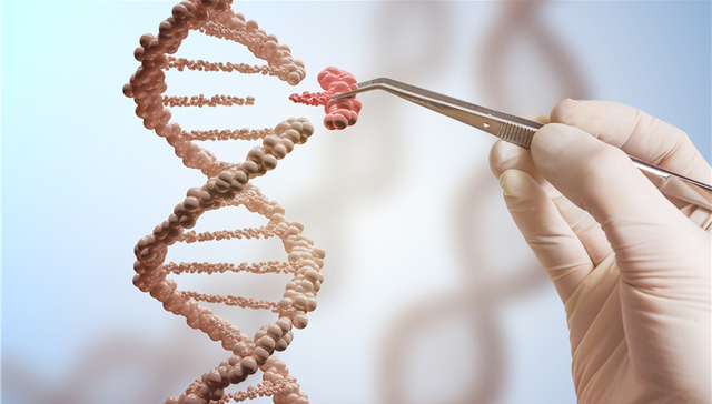 教育部发文要求高校自查基因编辑研究