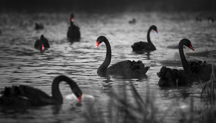 中国上市公司疾控风险报告：数十宗真实病例里的投资梦魇