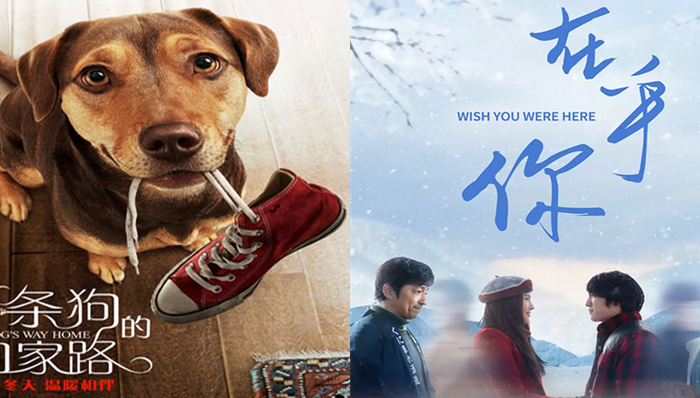 影讯 | 《一条狗的回家路》0118上映 俞飞鸿大泽隆夫《在乎你》定档0308