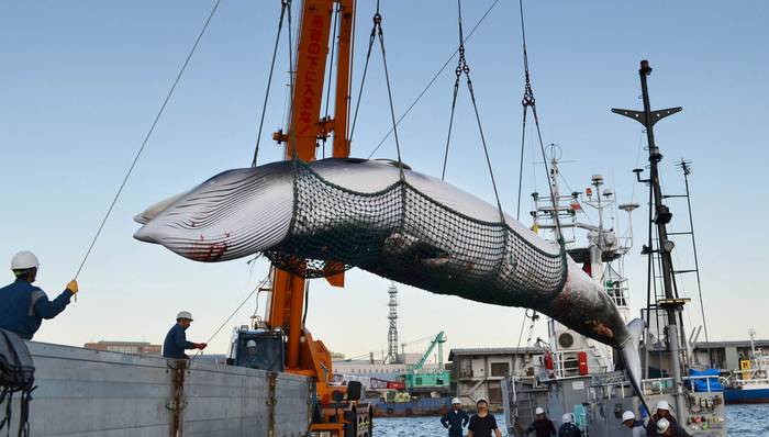 天下故事,惊奇的发现