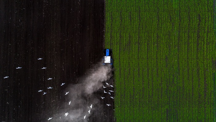 农化行业，巴斯夫，先正达，中化工，陶氏杜邦