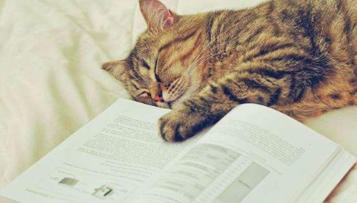 【一周新书推荐】社会有如此多的不同，以至于我们几乎一无所知