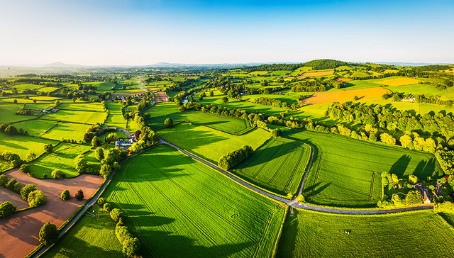 三农,2019年,中国特色社会主义,农民,振兴战略,农业农村发展,三中全会,统一思想,农村改革,中央