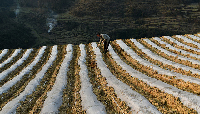 中央一号文件,三农,中央农村工作会议,海南橡胶,政策信号,振兴战略,投资机会,农村土地承包法,201