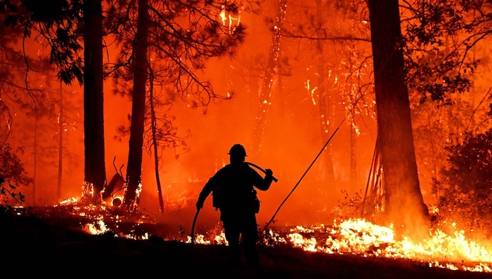 气候变暖,天下故事,乡村,森林