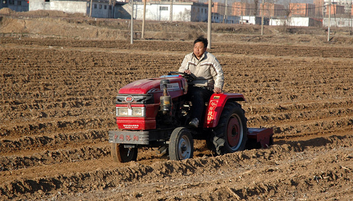 新农村,土地,三权分置