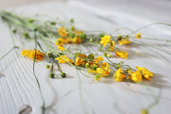 诚梵,基金产品,基金经理,中原证券,IMBA,长信基金,亏损,投资管理,f10,试用期