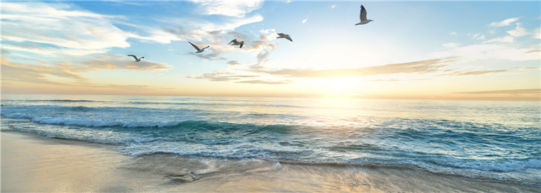 商誉,A股,现金流