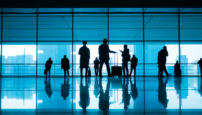 失业青年,见习计划,人社部