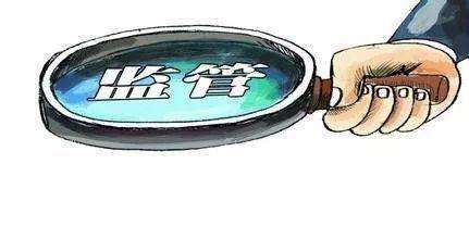 四种形态,从严治党,中央纪委,纪检监察机关,分析和定性,监督篇,施工队长,树木,森林,探头