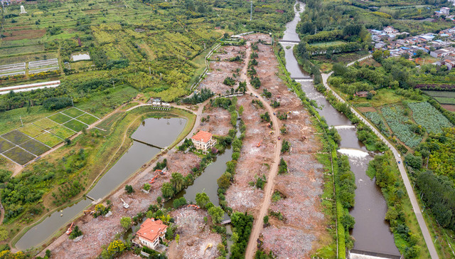 秦岭,别墅,中央