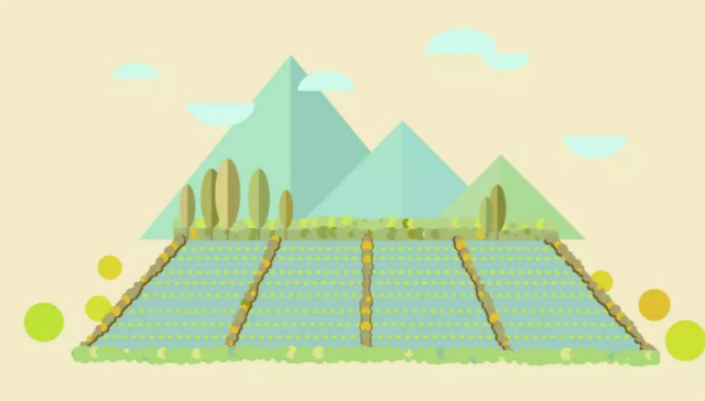 河北,传统文化,社交媒体,河北土味