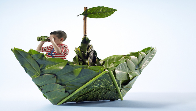 制造业,可持续发展,汽车业,纺织业,苹果公司,机器人,工业革命